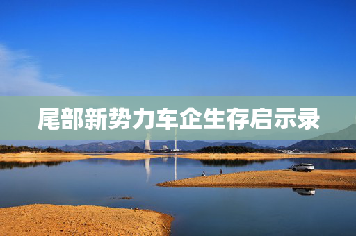 尾部新势力车企生存启示录