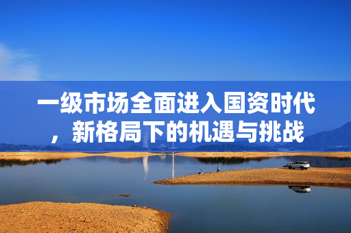 一级市场全面进入国资时代，新格局下的机遇与挑战