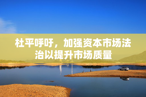 杜平呼吁，加强资本市场法治以提升市场质量