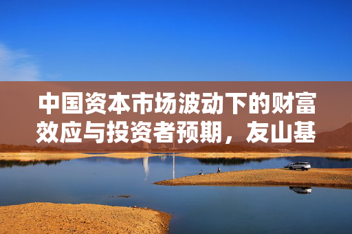 中国资本市场波动下的财富效应与投资者预期，友山基金总裁杜平的观点