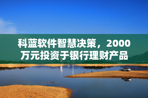 科蓝软件智慧决策，2000万元投资于银行理财产品