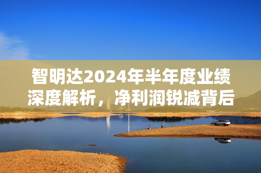 智明达2024年半年度业绩深度解析，净利润锐减背后的挑战与机遇