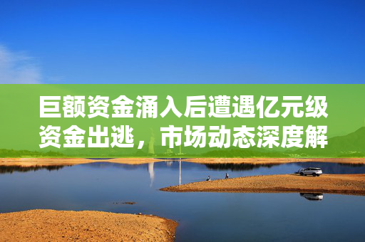 巨额资金涌入后遭遇亿元级资金出逃，市场动态深度解析