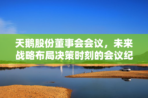 天鹅股份董事会会议，未来战略布局决策时刻的会议纪要