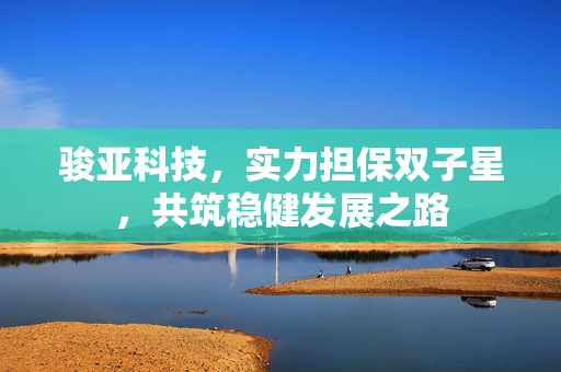 骏亚科技，实力担保双子星，共筑稳健发展之路