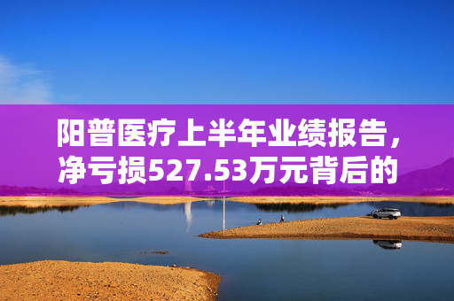 阳普医疗上半年业绩报告，净亏损527.53万元背后的原因分析