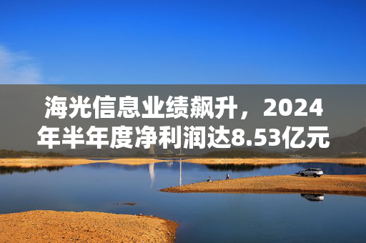 海光信息业绩飙升，2024年半年度净利润达8.53亿元，同比增长25.97%