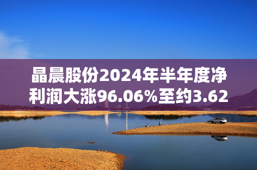 晶晨股份2024年半年度净利润大涨96.06%至约3.62亿元