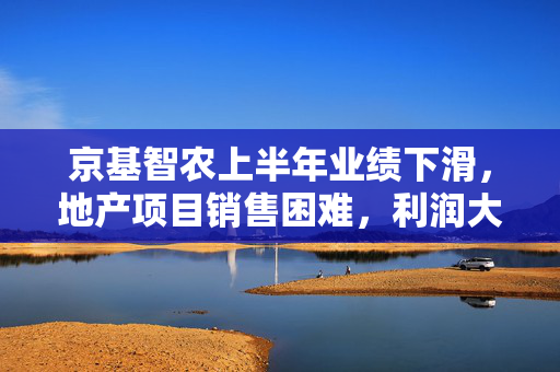 京基智农上半年业绩下滑，地产项目销售困难，利润大幅下降