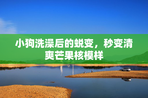 小狗洗澡后的蜕变，秒变清爽芒果核模样