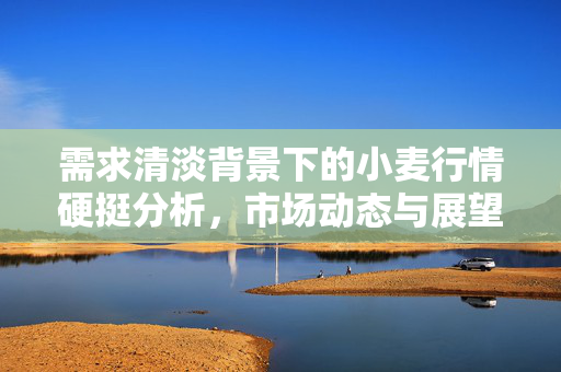 需求清淡背景下的小麦行情硬挺分析，市场动态与展望