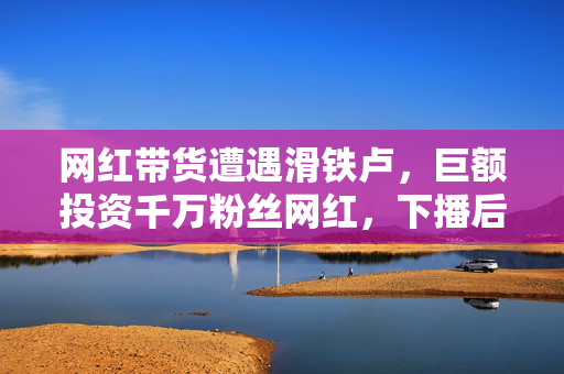 网红带货遭遇滑铁卢，巨额投资千万粉丝网红，下播后全线退货