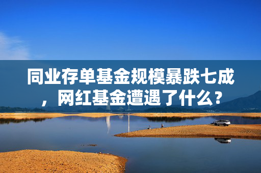 同业存单基金规模暴跌七成，网红基金遭遇了什么？