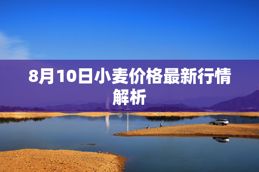 8月10日小麦价格最新行情解析