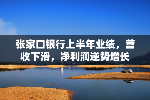 张家口银行上半年业绩，营收下滑，净利润逆势增长