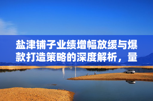 盐津铺子业绩增幅放缓与爆款打造策略的深度解析，量贩零食市场变革下的新挑战与机遇
