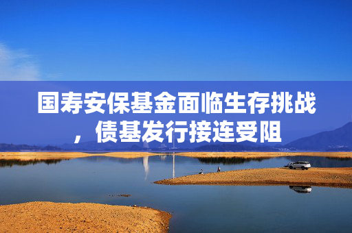 国寿安保基金面临生存挑战，债基发行接连受阻