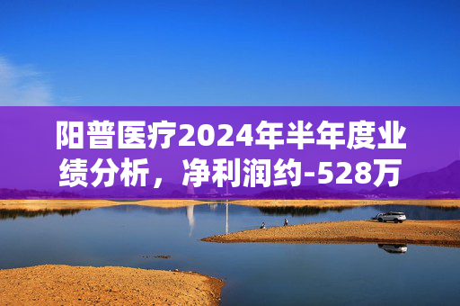 阳普医疗2024年半年度业绩分析，净利润约-528万元背后的原因探究