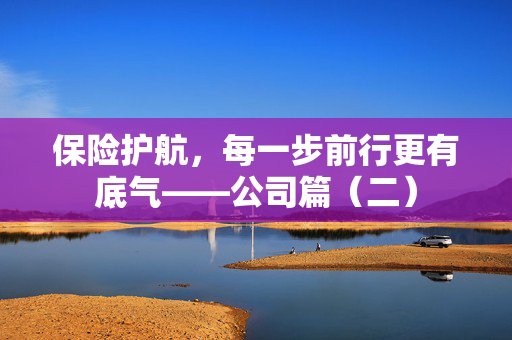保险护航，每一步前行更有底气——公司篇（二）