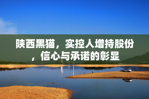陕西黑猫，实控人增持股份，信心与承诺的彰显