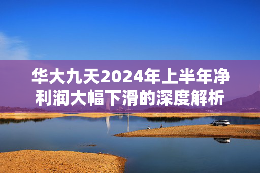华大九天2024年上半年净利润大幅下滑的深度解析