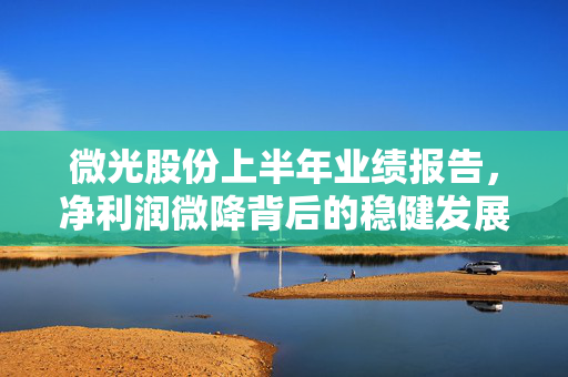 微光股份上半年业绩报告，净利润微降背后的稳健发展