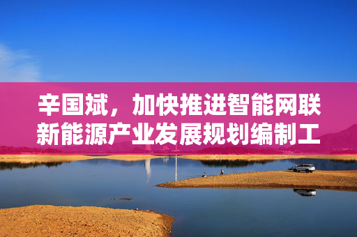 辛国斌，加快推进智能网联新能源产业发展规划编制工作