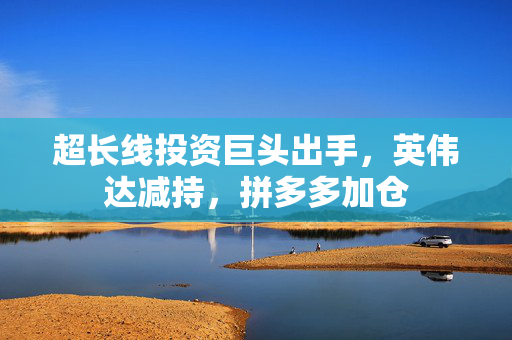 超长线投资巨头出手，英伟达减持，拼多多加仓