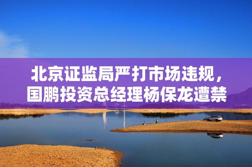北京证监局严打市场违规，国鹏投资总经理杨保龙遭禁入及巨额罚款
