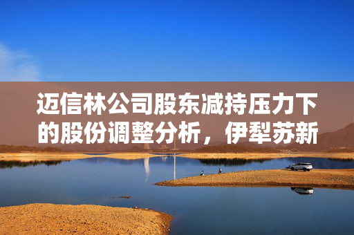 迈信林公司股东减持压力下的股份调整分析，伊犁苏新与道丰投资策略解读