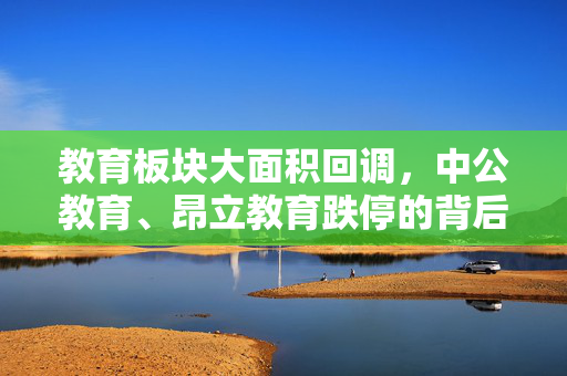 教育板块大面积回调，中公教育、昂立教育跌停的背后解析