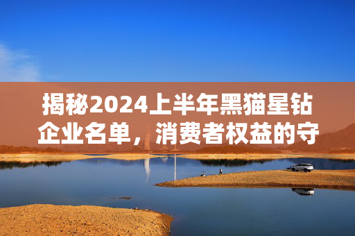 揭秘2024上半年黑猫星钻企业名单，消费者权益的守护者