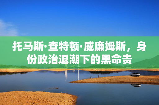 托马斯·查特顿·威廉姆斯，身份政治退潮下的黑命贵