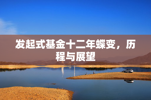 发起式基金十二年蝶变，历程与展望