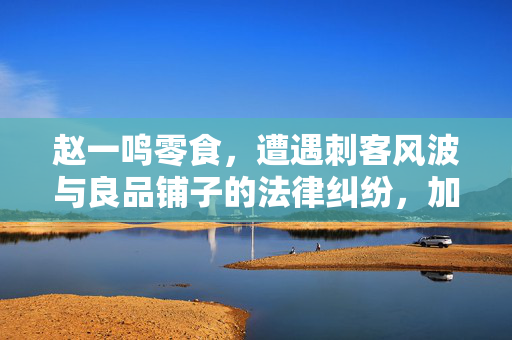 赵一鸣零食，遭遇刺客风波与良品铺子的法律纠纷，加盟商困境与IPO展望