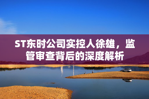 ST东时公司实控人徐雄，监管审查背后的深度解析