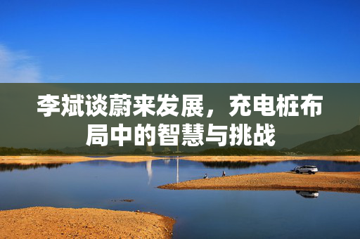 李斌谈蔚来发展，充电桩布局中的智慧与挑战