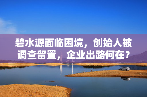 碧水源面临困境，创始人被调查留置，企业出路何在？