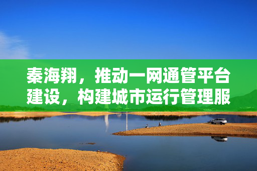 秦海翔，推动一网通管平台建设，构建城市运行管理服务新格局