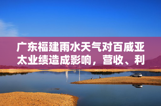 广东福建雨水天气对百威亚太业绩造成影响，营收、利润及销量下滑