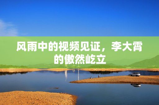 风雨中的视频见证，李大霄的傲然屹立