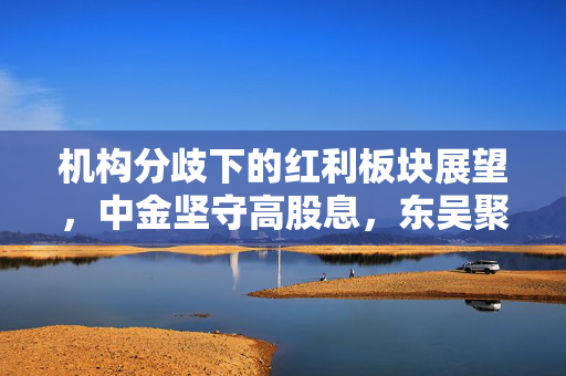 机构分歧下的红利板块展望，中金坚守高股息，东吴聚焦成长股的机遇与挑战