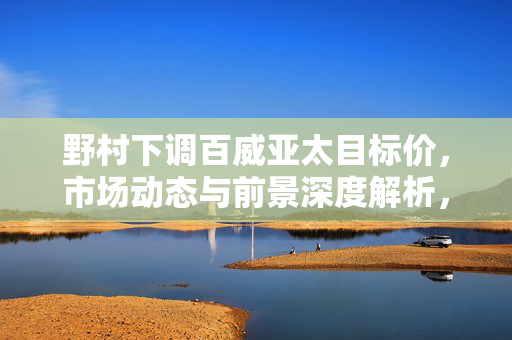 野村下调百威亚太目标价，市场动态与前景深度解析，维持买入评级的考量