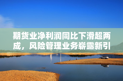 期货业净利润同比下滑超两成，风险管理业务崭露新引擎助力市场