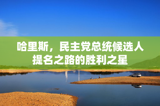哈里斯，民主党总统候选人提名之路的胜利之星