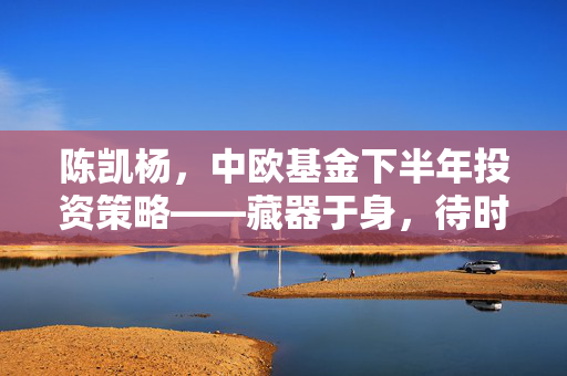 陈凯杨，中欧基金下半年投资策略——藏器于身，待时而动