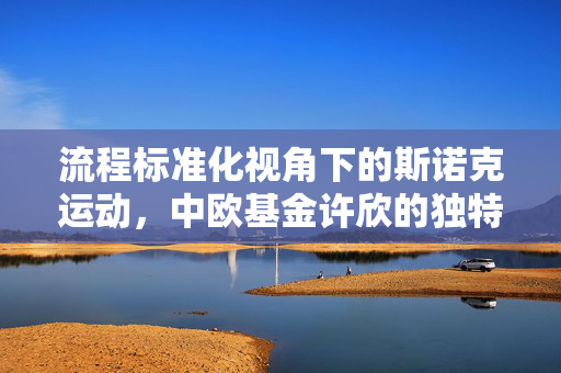 流程标准化视角下的斯诺克运动，中欧基金许欣的独特理解