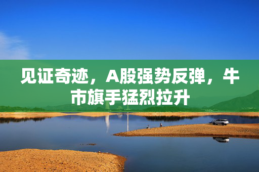 见证奇迹，A股强势反弹，牛市旗手猛烈拉升