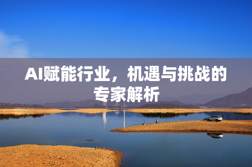AI赋能行业，机遇与挑战的专家解析