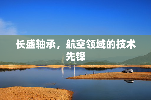 长盛轴承，航空领域的技术先锋